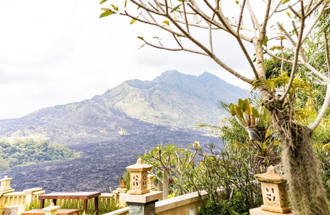 Ayodya Batur Villa Кинтамани Экстерьер фото