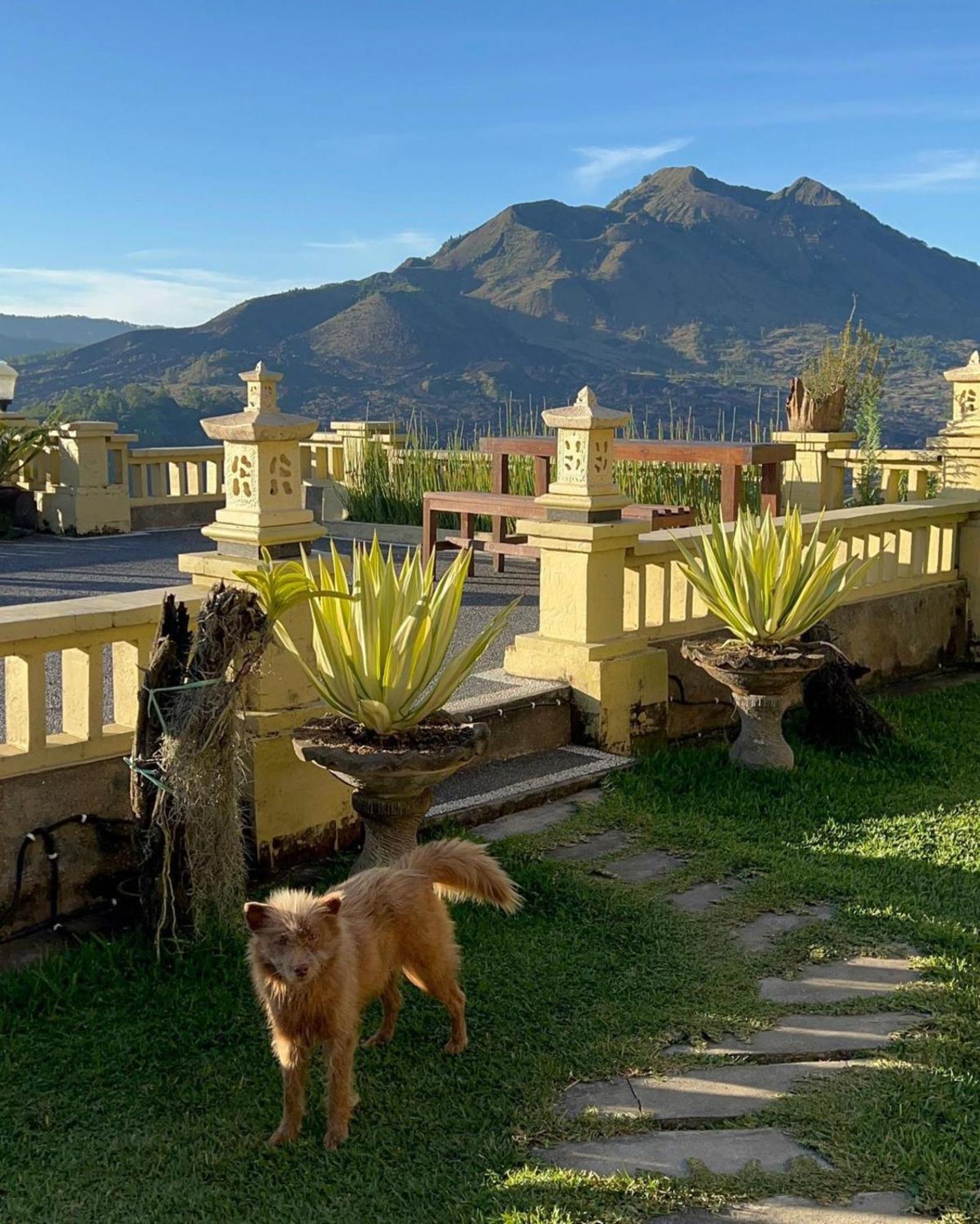 Ayodya Batur Villa Кинтамани Экстерьер фото